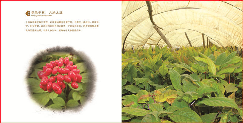 思濟(jì)源 (7)_副本_副本.jpg